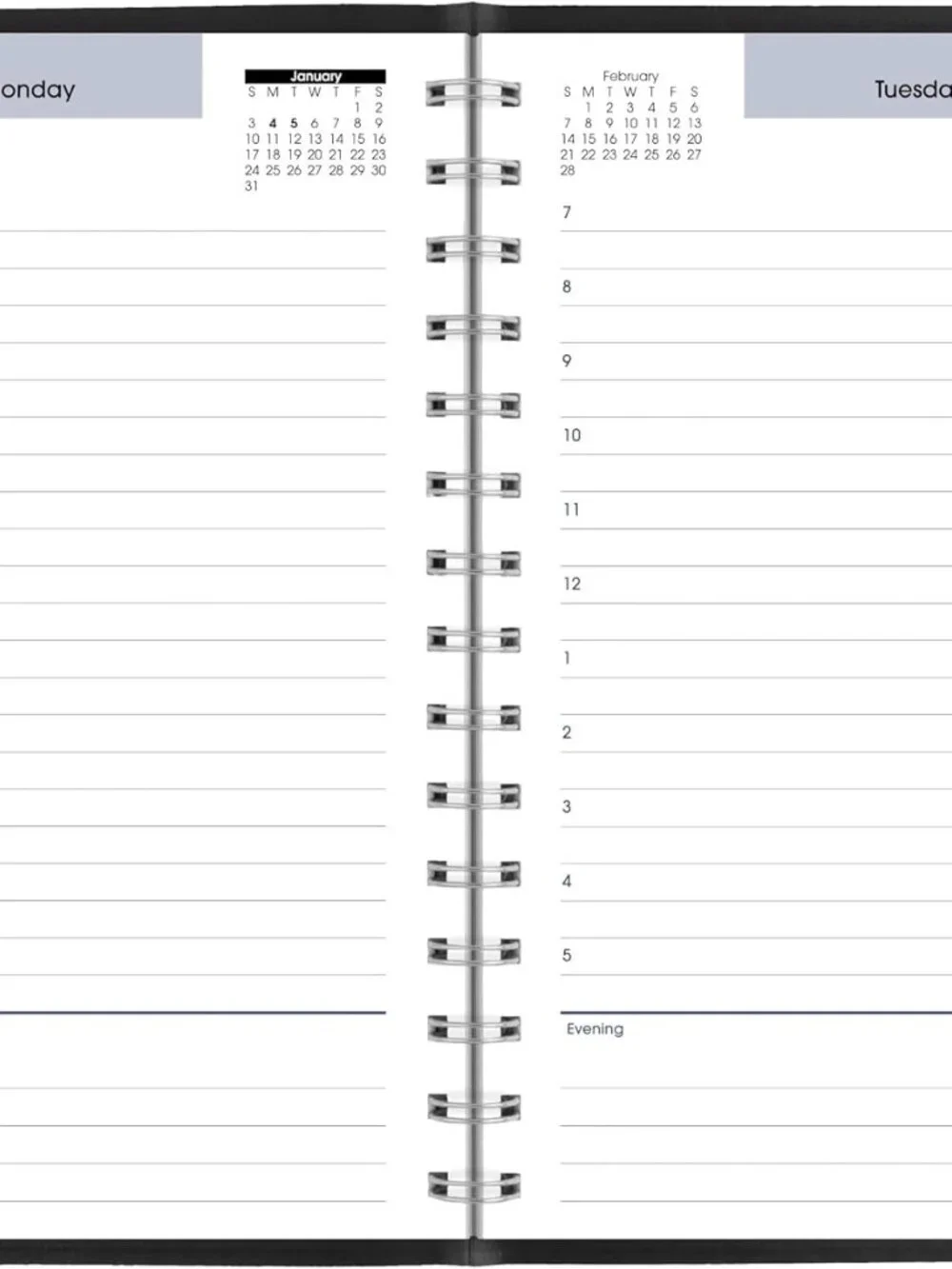 AT-A-GLANCE 2027 Appointment Book Planner, Daily, 5